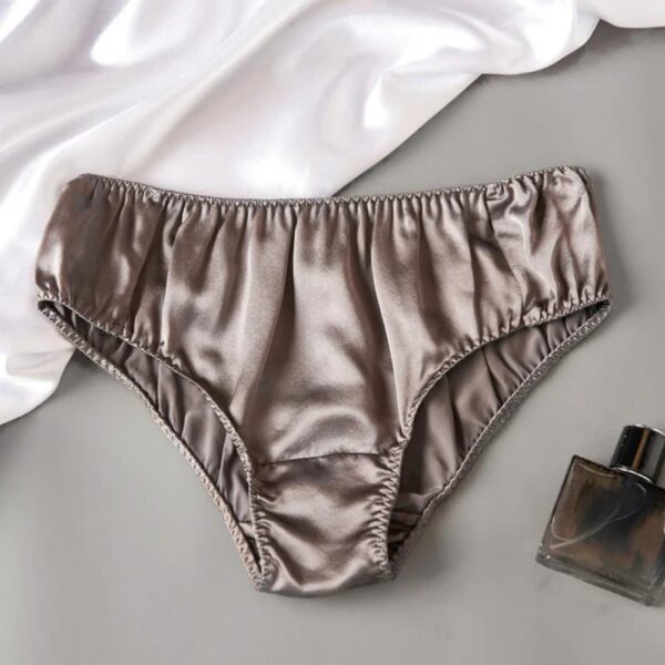 Silk Panties Mid Rise Silver